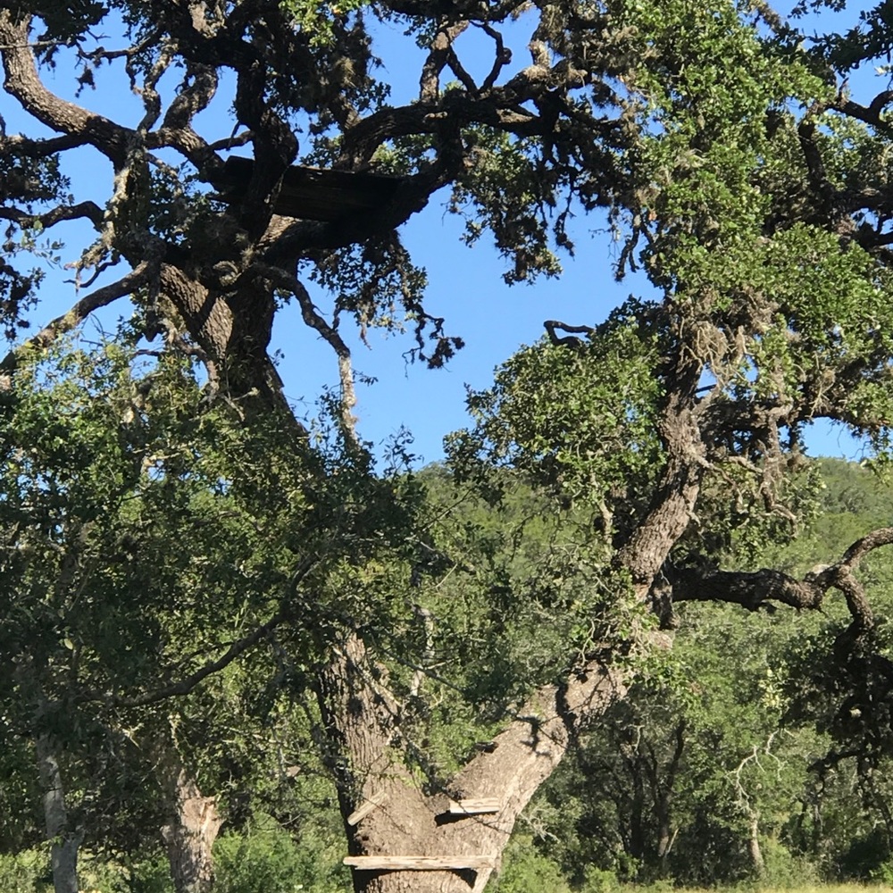 Meet your Posher, Hope